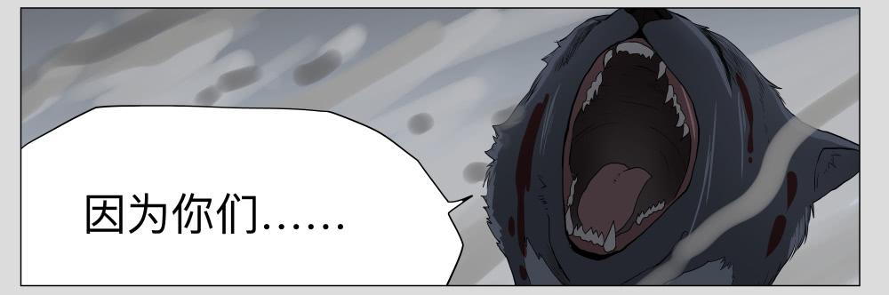 012猫和他的猫part4-第12话