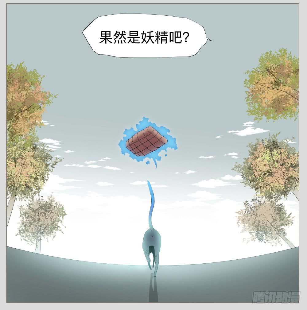 010猫和他的猫part2-第10话