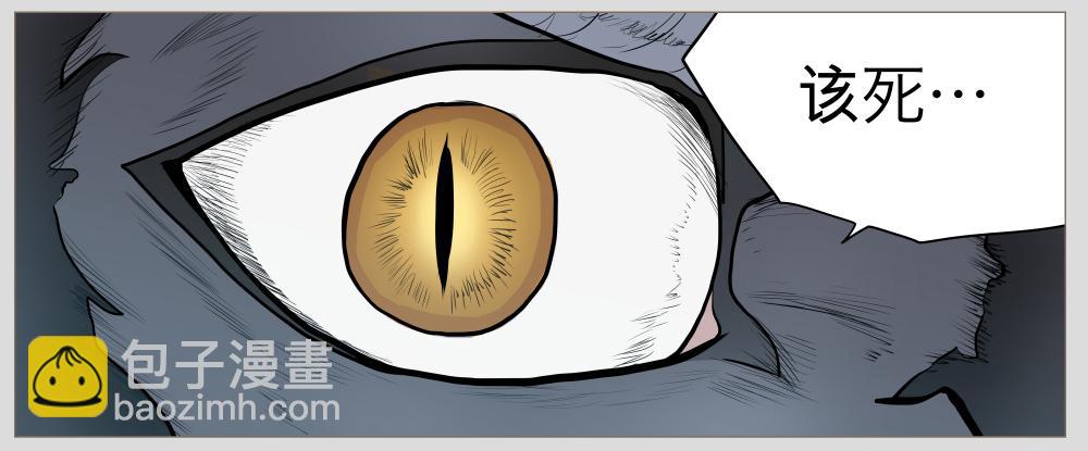 010猫和他的猫part2-第10话