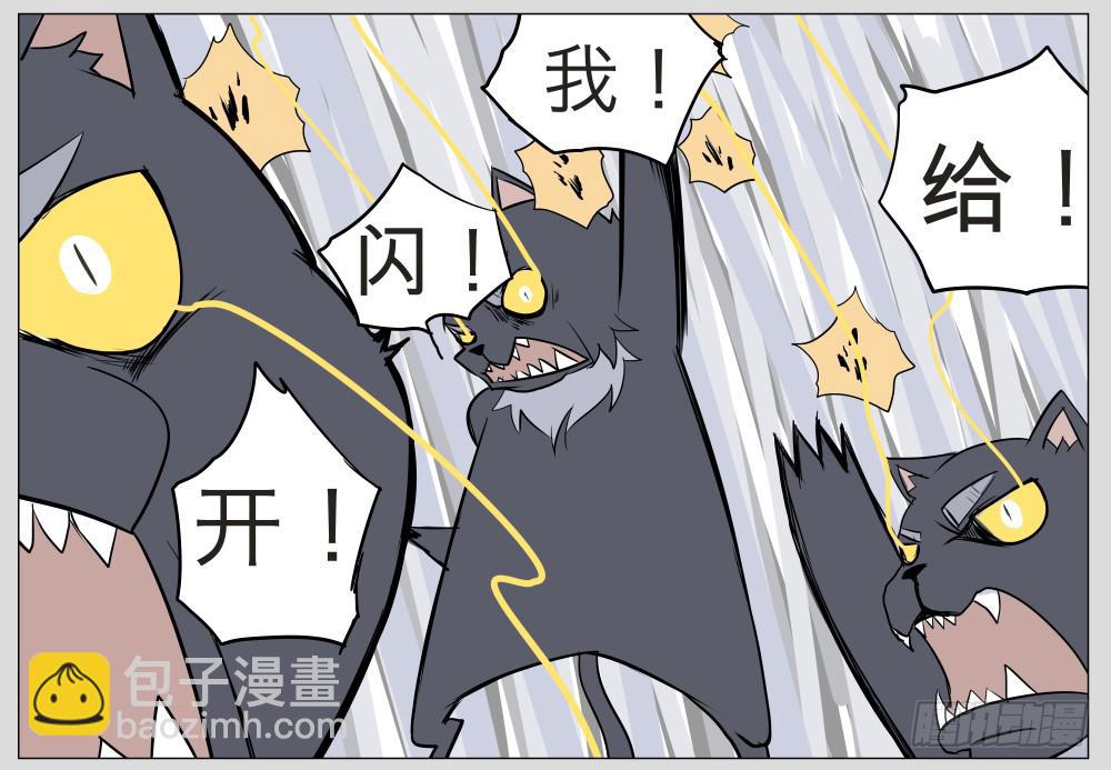 010猫和他的猫part2-第10话