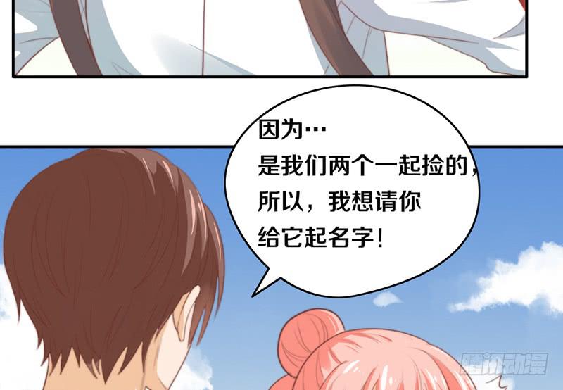 第14话 你点的狗粮已到(1/2)-第14话