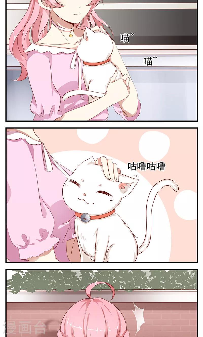 第11话 不许离婚-第12话