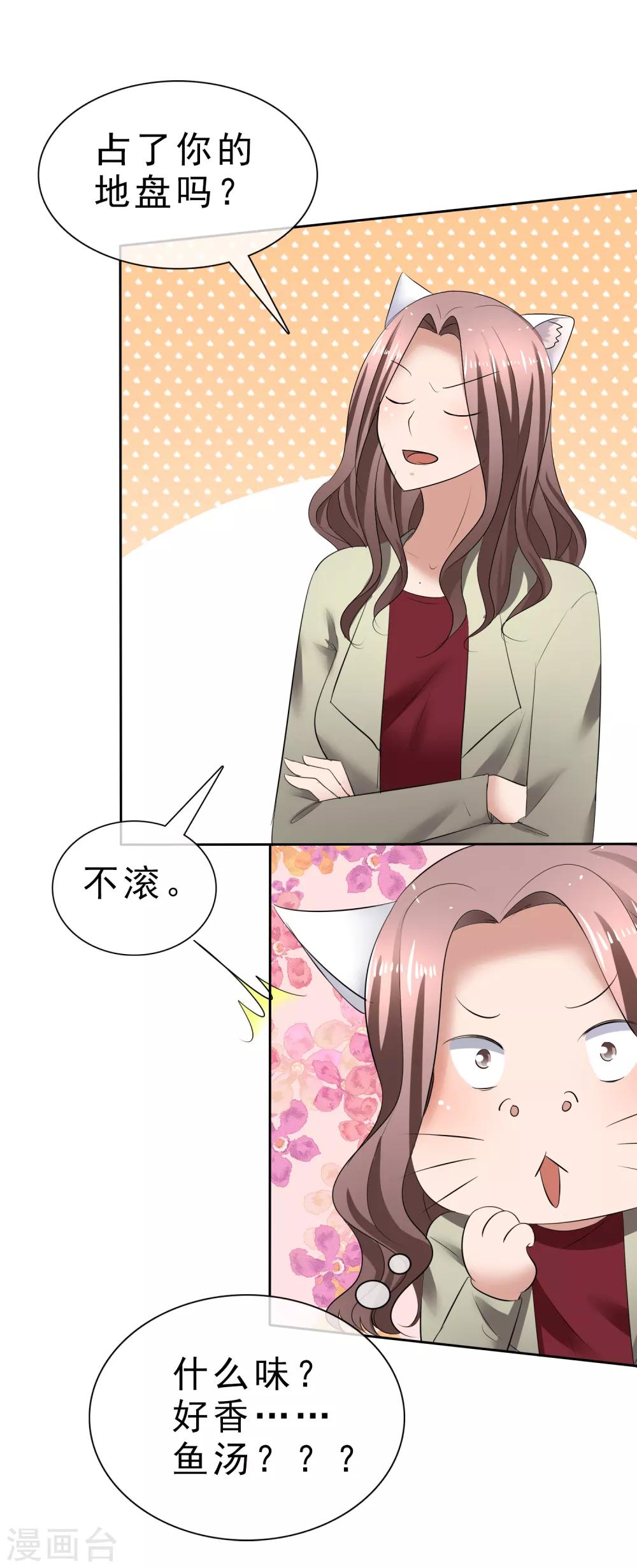 第31话 傲娇猫咪-第32话