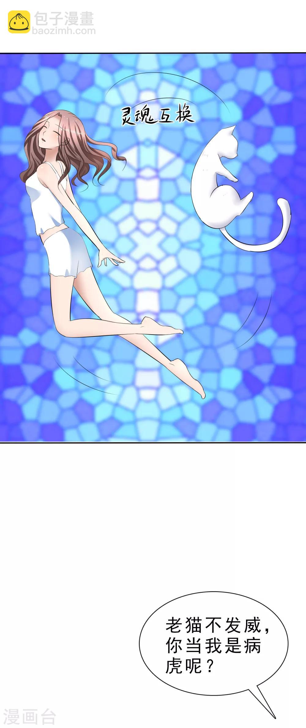 第31话 傲娇猫咪-第32话