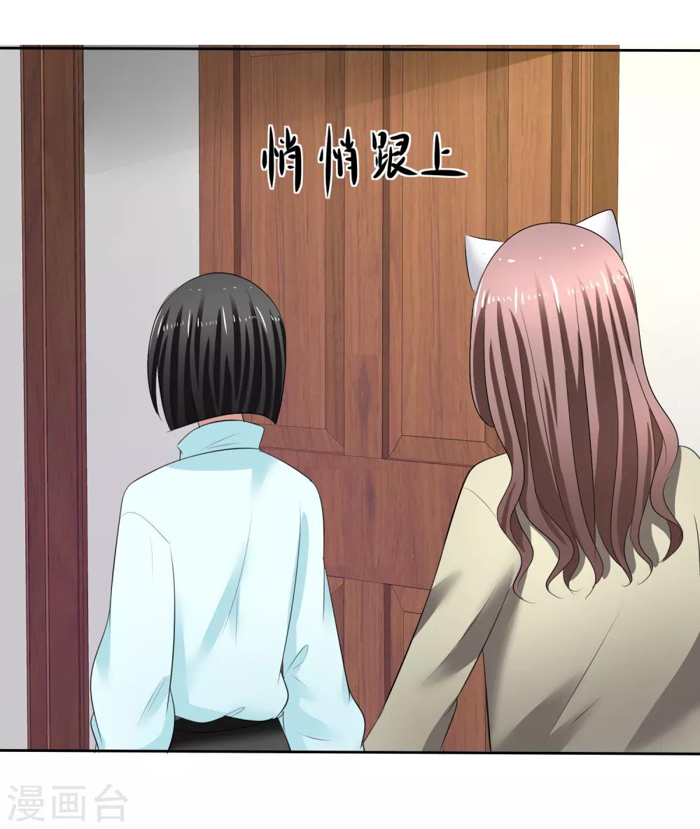 第31话 傲娇猫咪-第32话