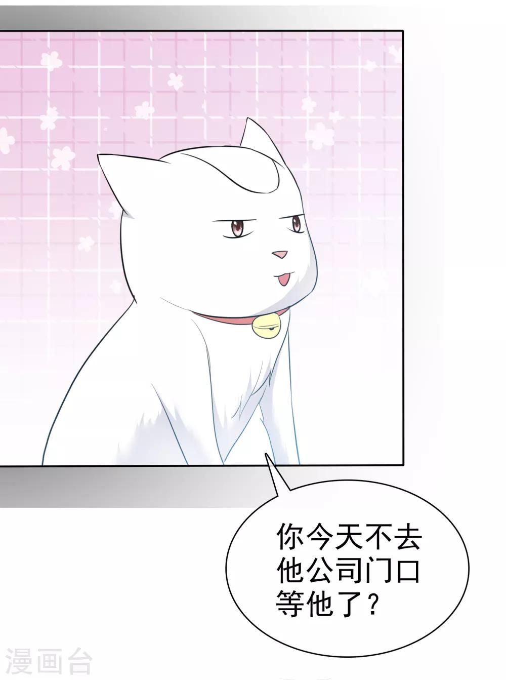 第82话 陈总不想见这个女人-第84话