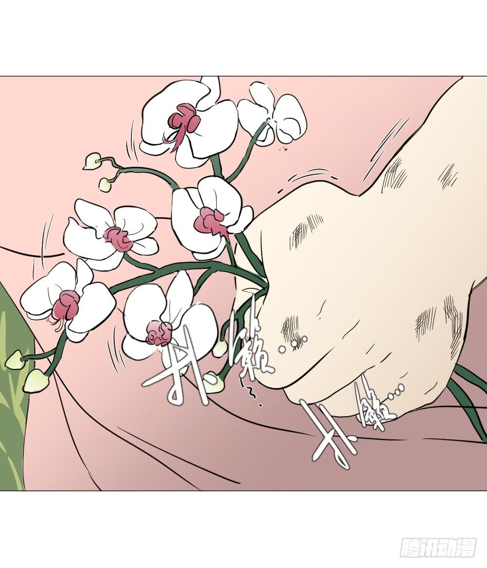 爱与自由（上）-第46话