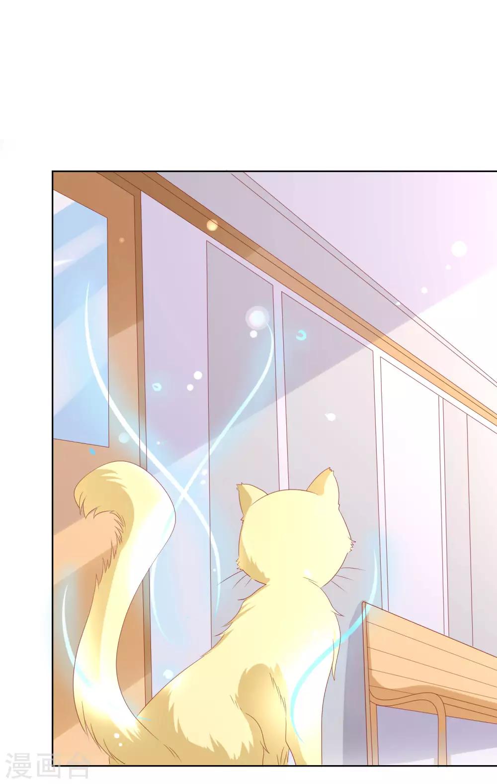 第104话 金丝猫，公孙小姐！-第108话