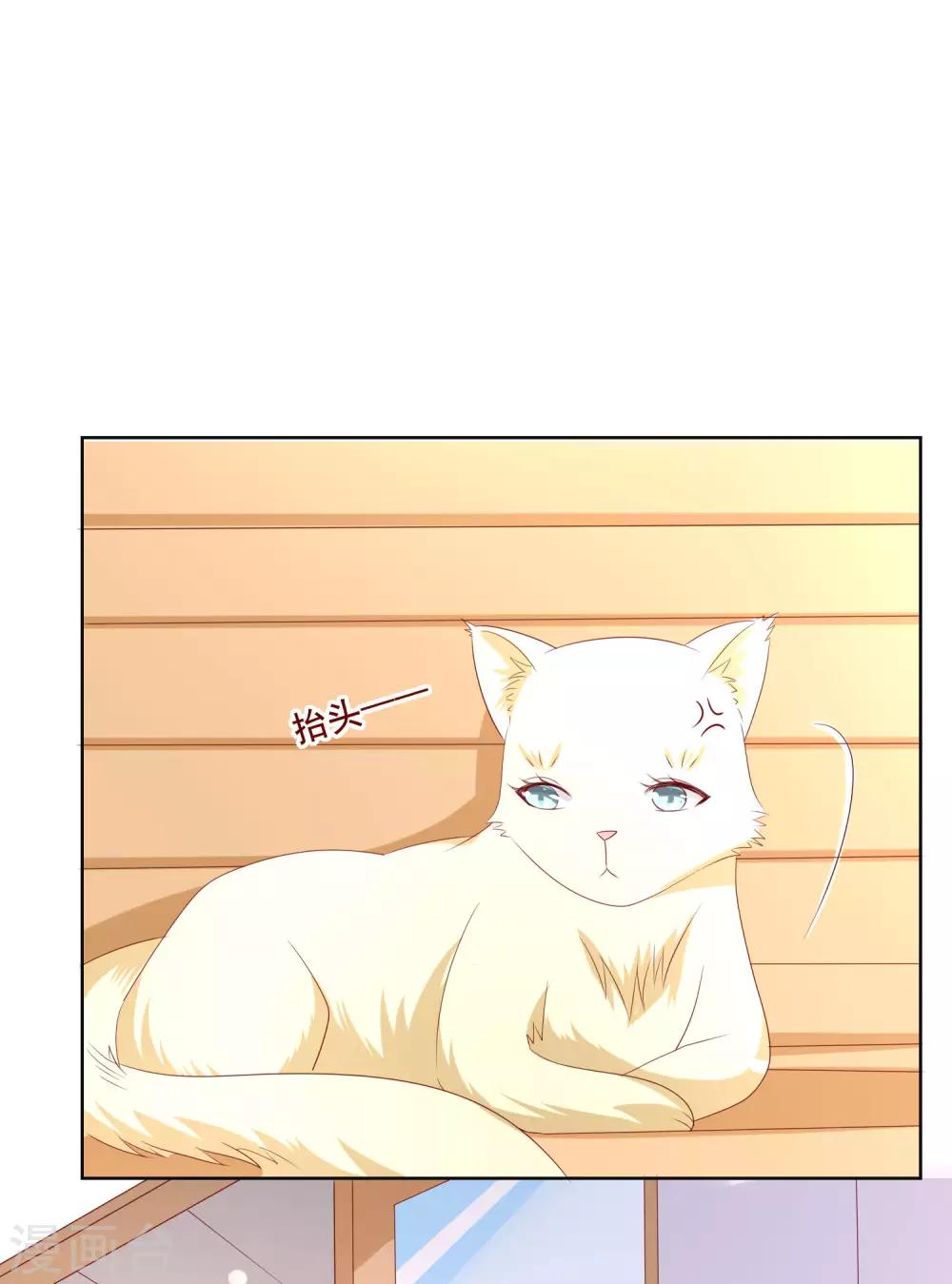 第104话 金丝猫，公孙小姐！-第108话