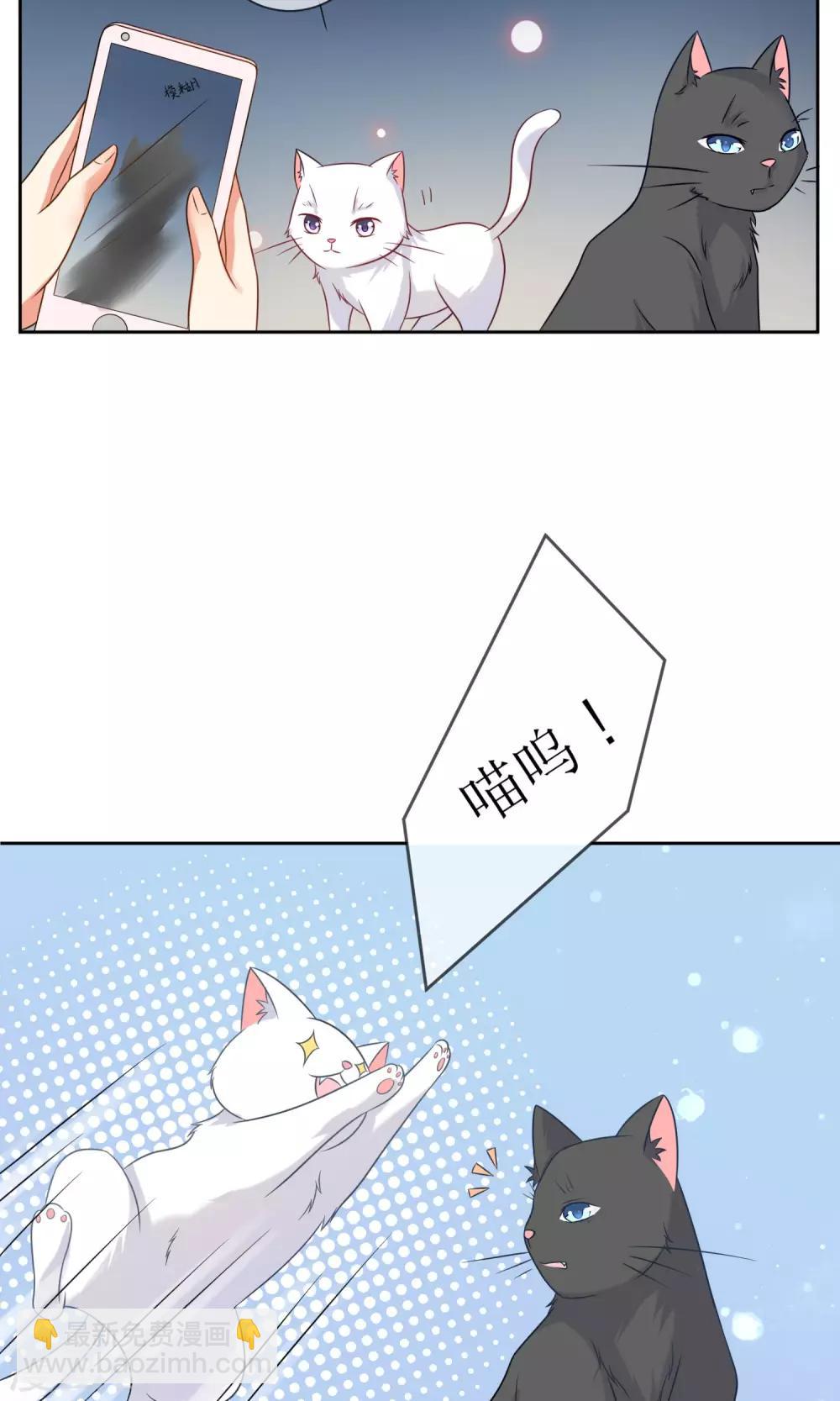 第3话 人间极乐是喵咪-第4话