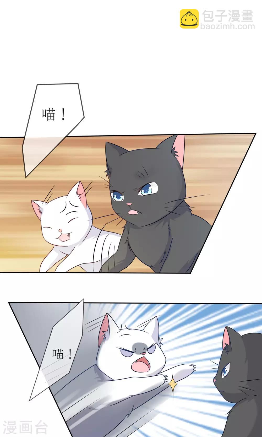 第3话 人间极乐是喵咪-第4话