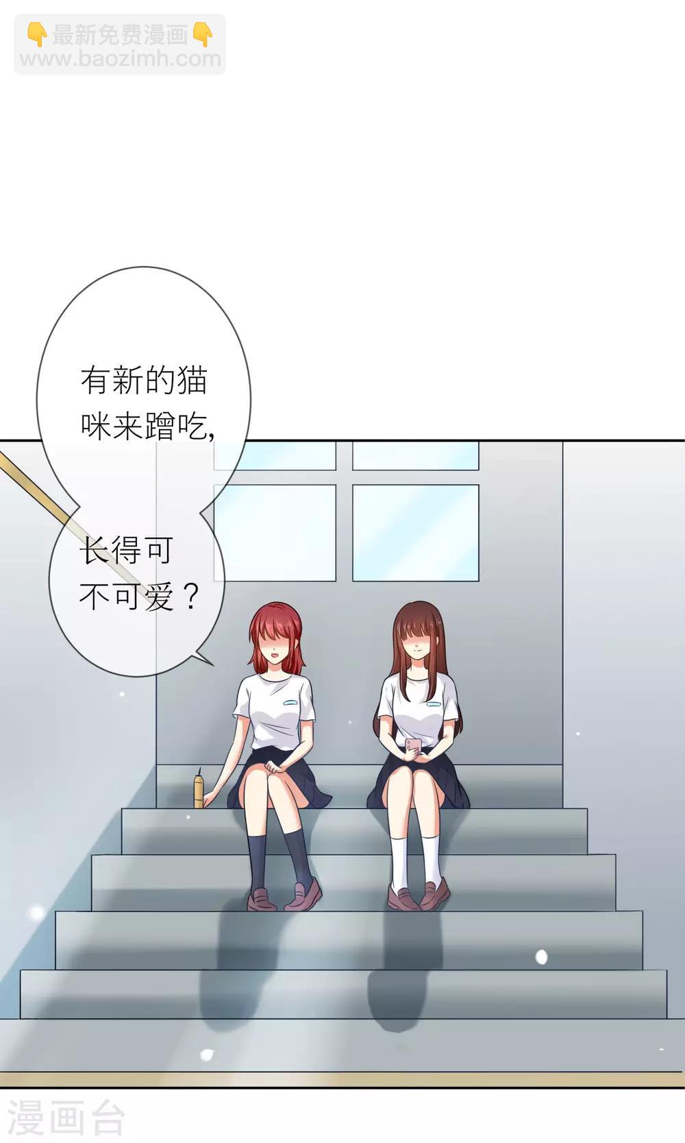 第3话 人间极乐是喵咪-第4话