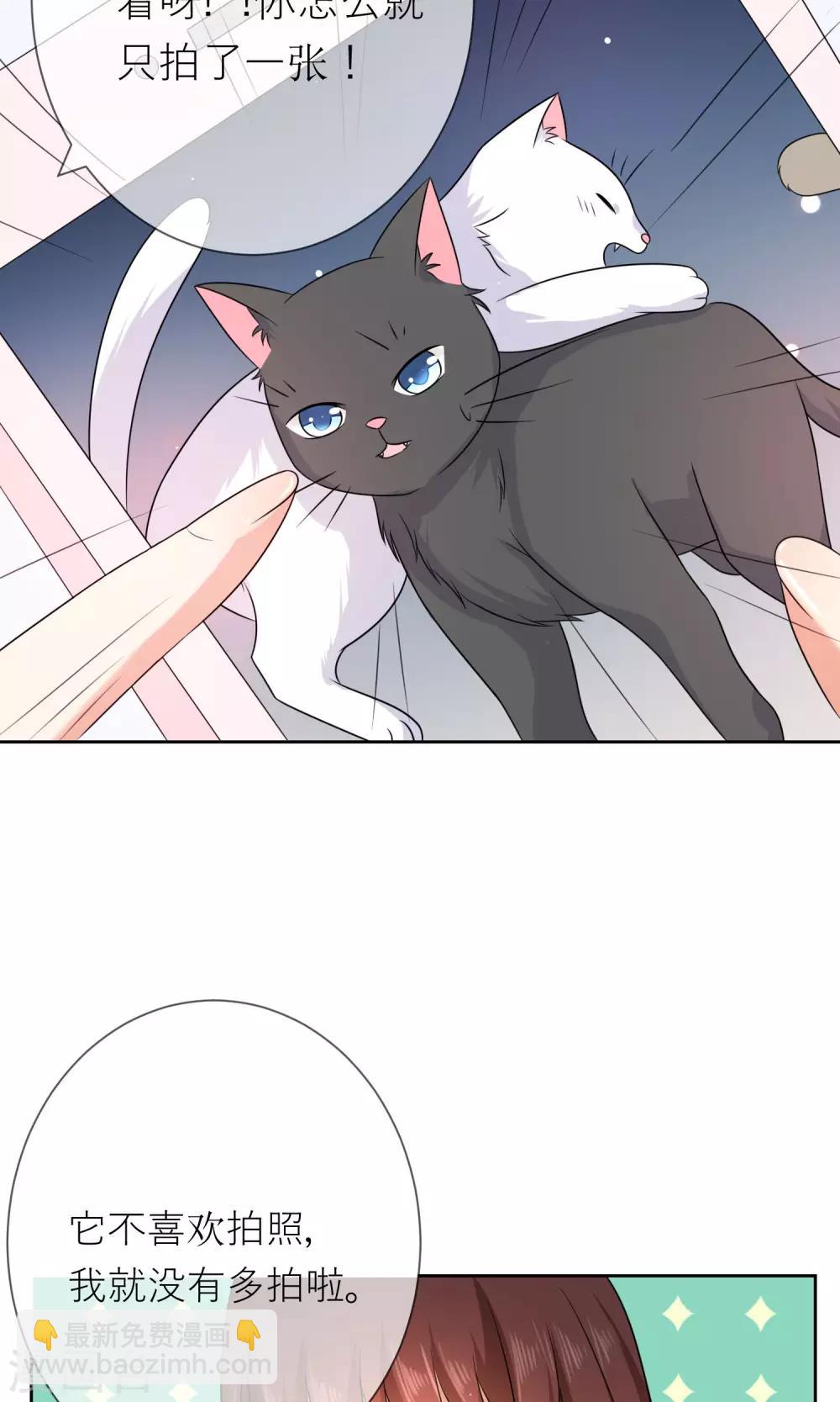 第3话 人间极乐是喵咪-第4话