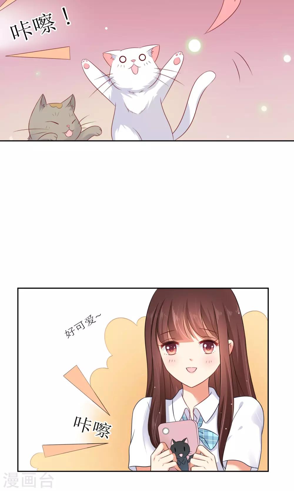 第3话 人间极乐是喵咪-第4话