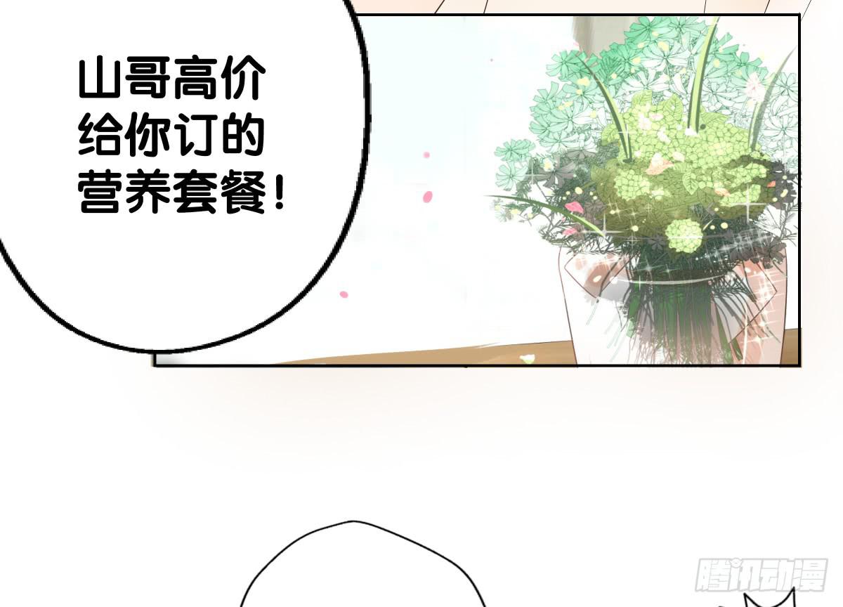 吃货的执着(1/2)-第38话