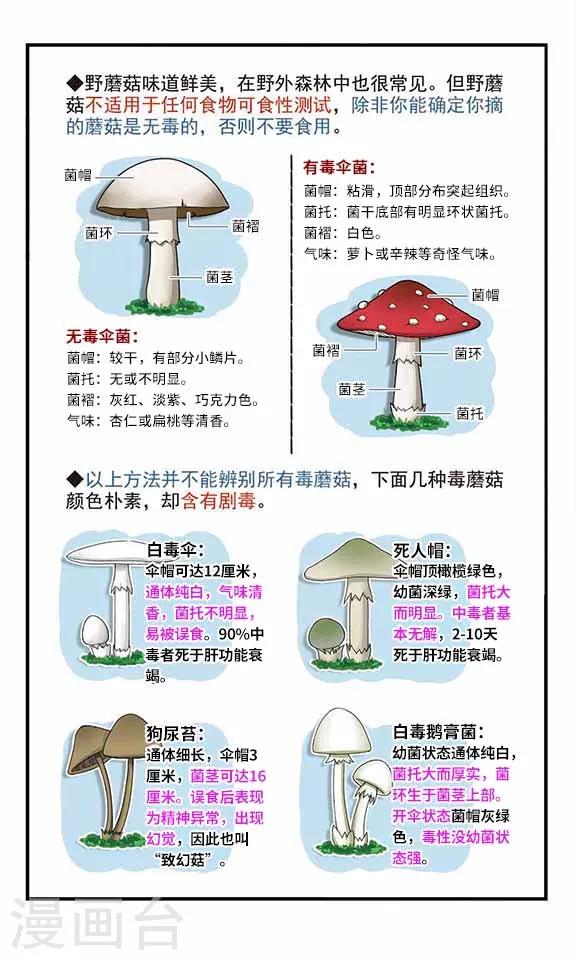 第4话 危机解除-第4话
