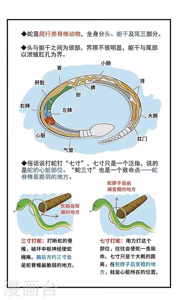 第4话 危机解除-第4话