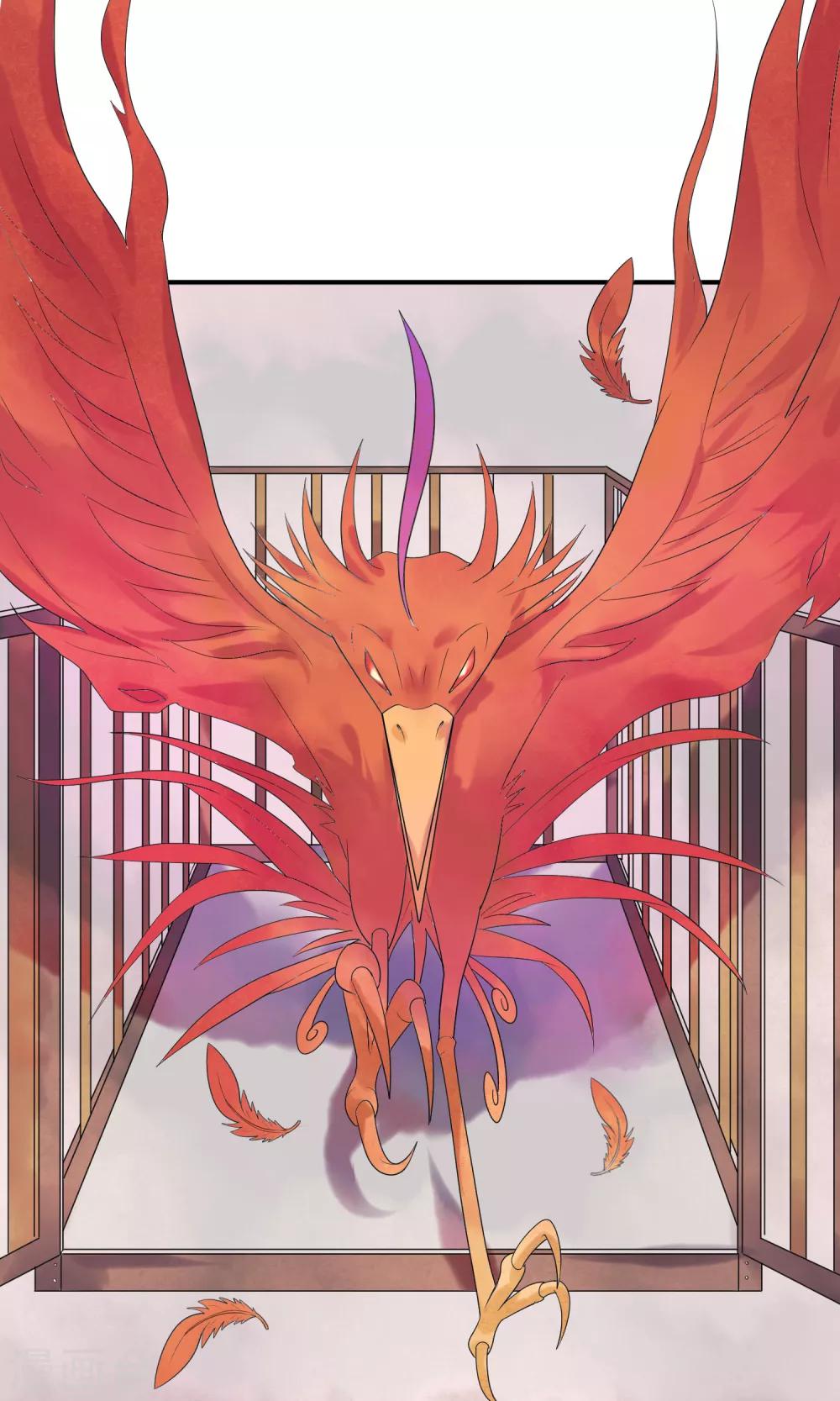 第11话 诡异的奇珍异兽-第12话