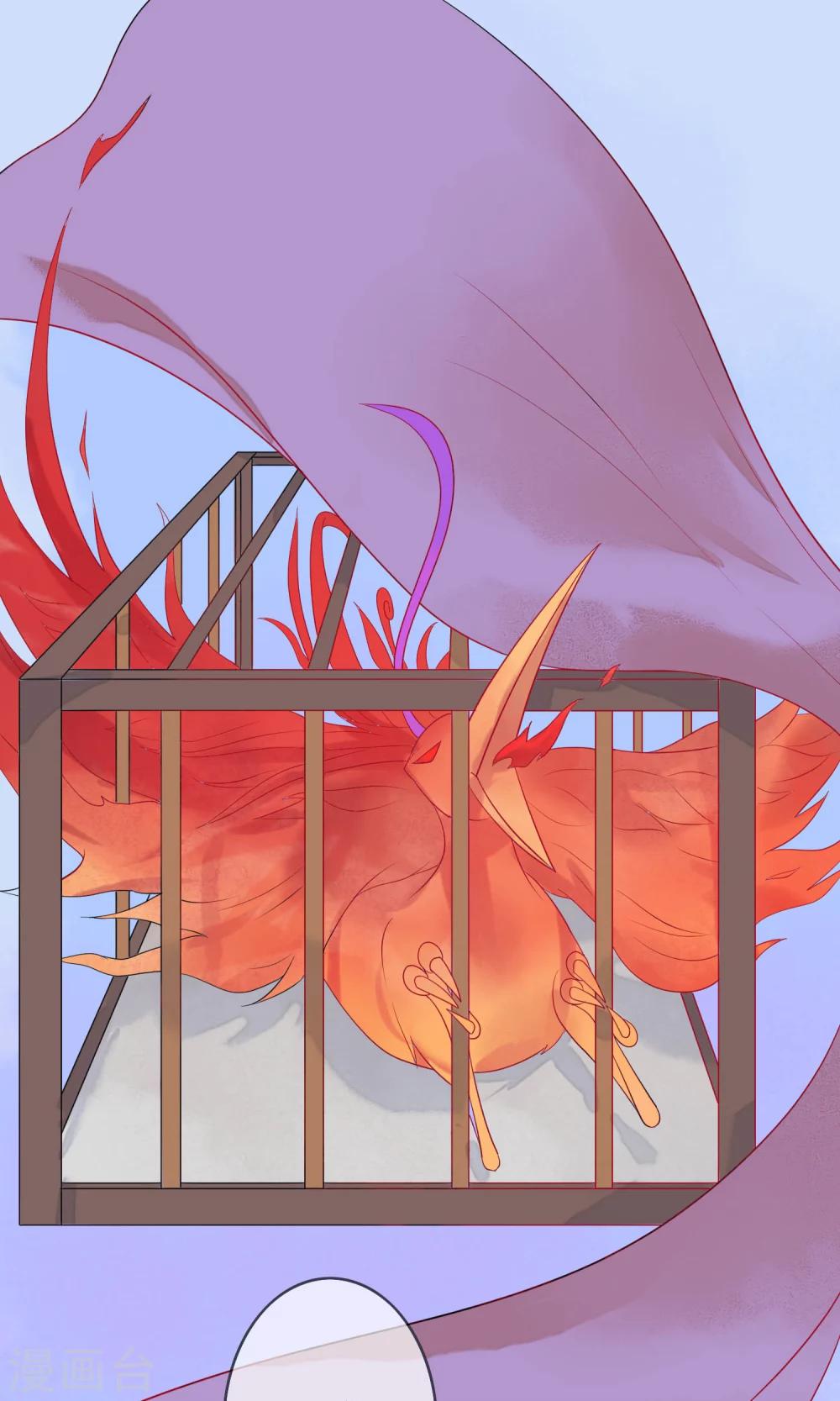 第11话 诡异的奇珍异兽-第12话