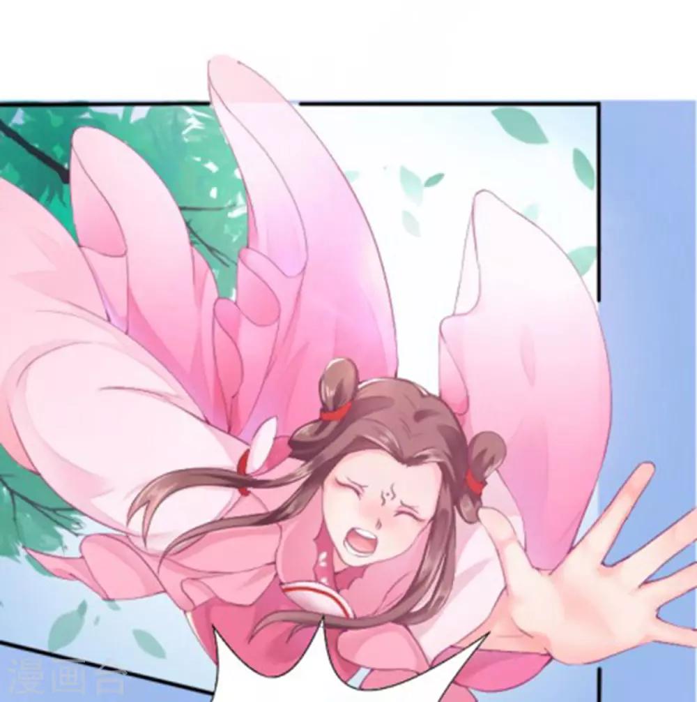 第1话 看上一只美男子(1/2)-第2话