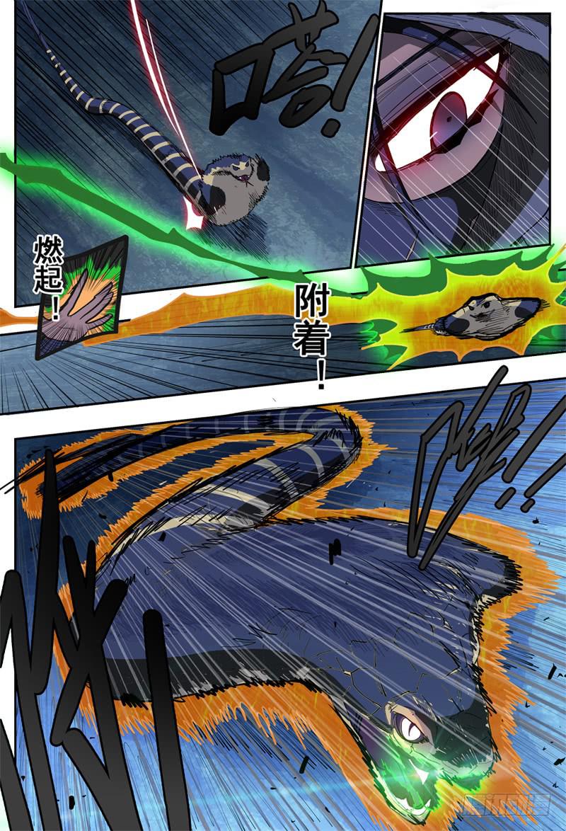 73,眼镜蛇多多(2)-第82话