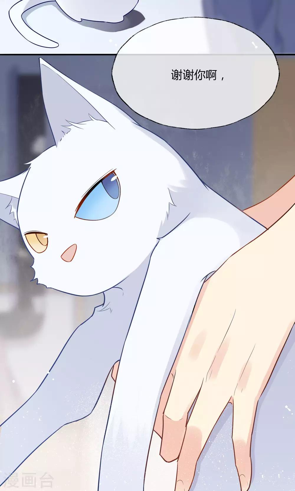 第7话 男神是我房东？！-第8话