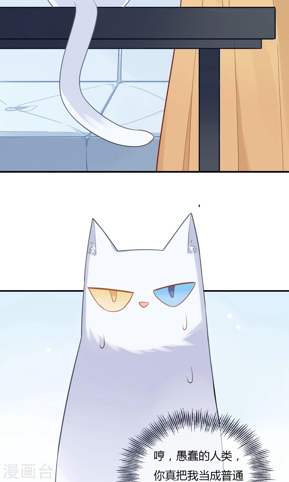 第9话 我家的猫咪会说话？！-第10话