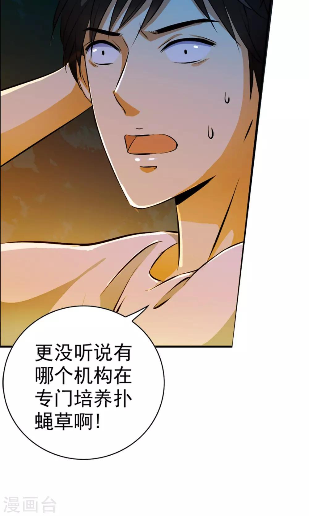 第4话 神奇的扑蝇草！！！-第4话