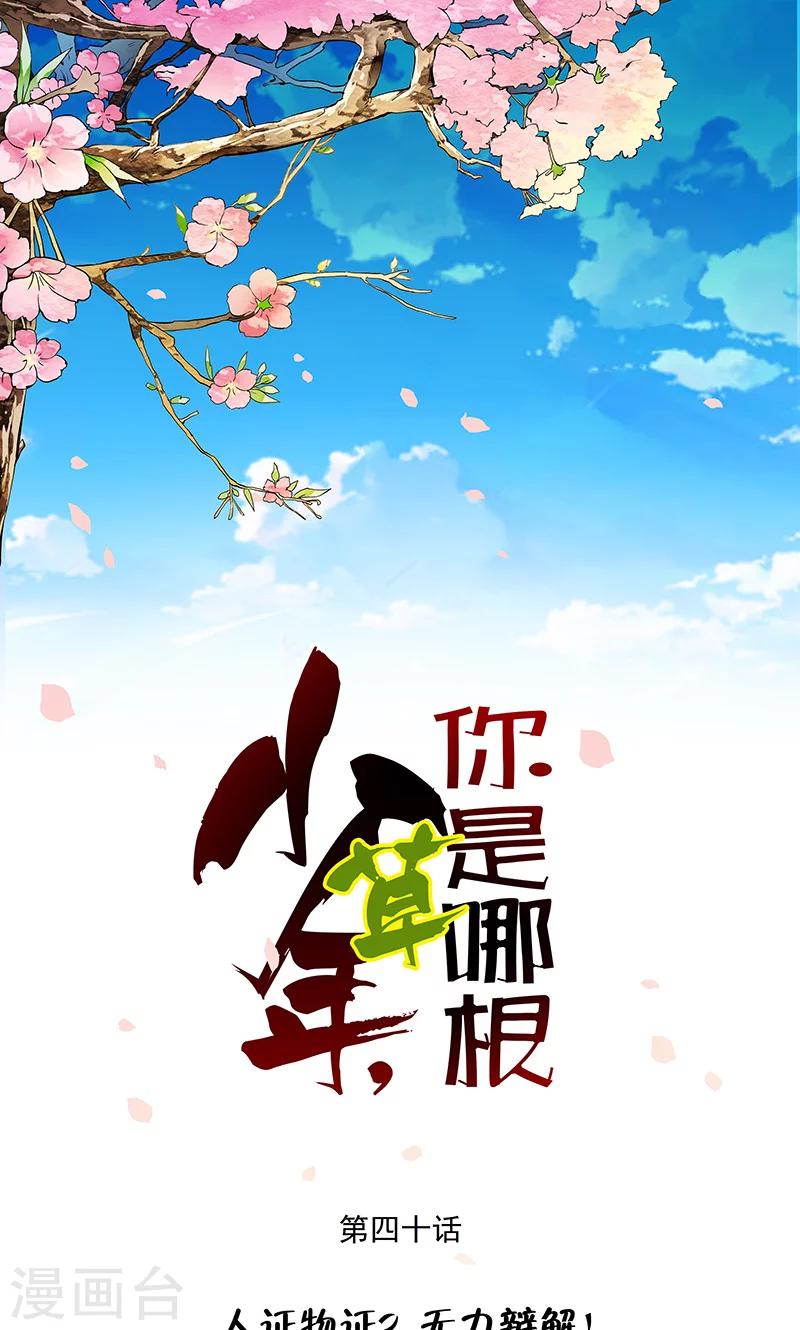 第40话 人证物证？无力辩解！-第42话