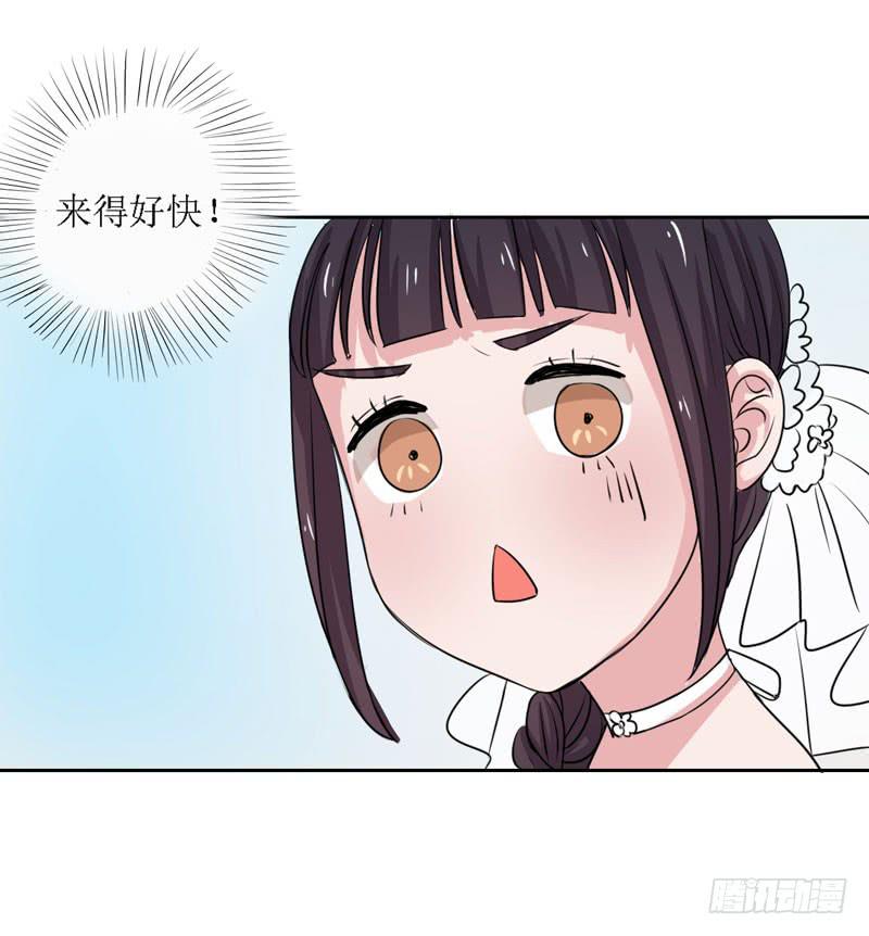 今天我们结婚啦！-第12话