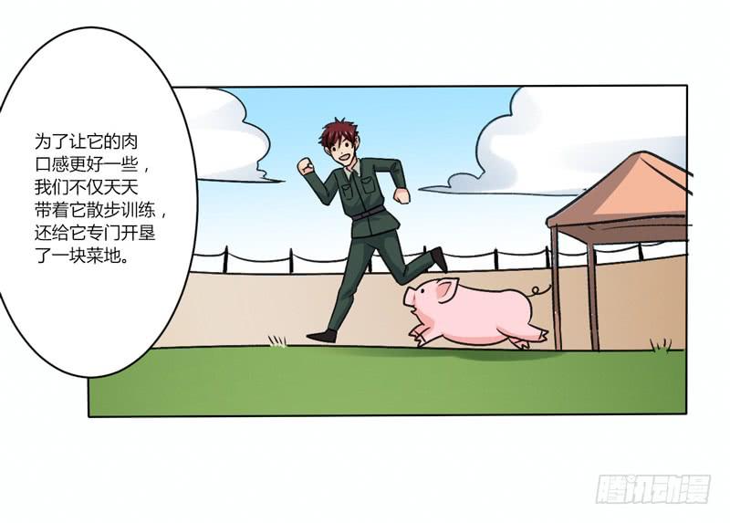 蜜月第一夜-第18话