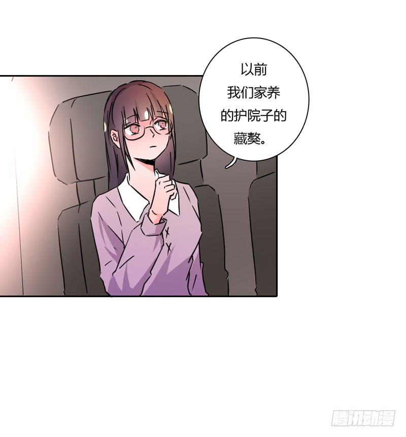他的朋友(1/3)-第46话