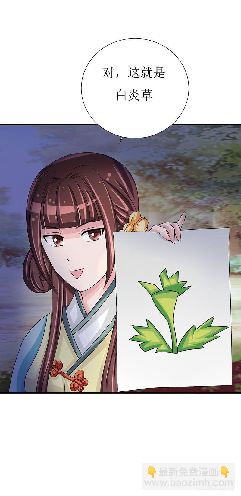 传说十万大山中的迷雾山住着医仙-第52话