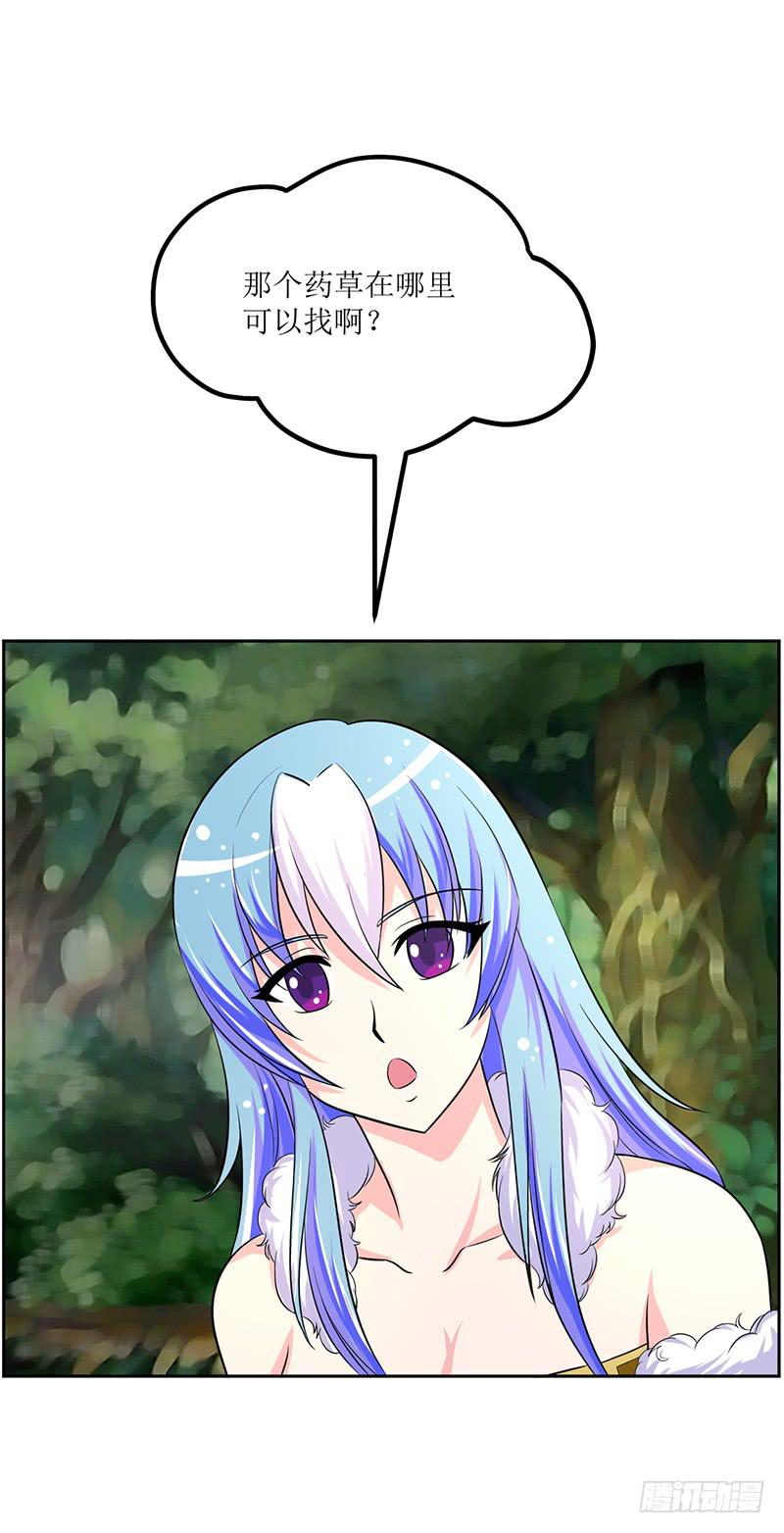 神奇的草药 它的功效是...-第54话