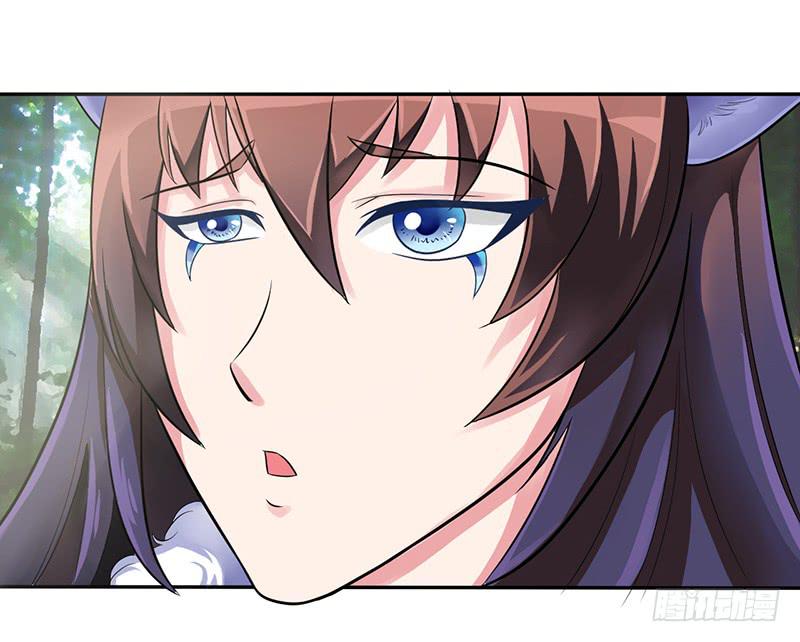 神奇的草药 它的功效是...-第54话