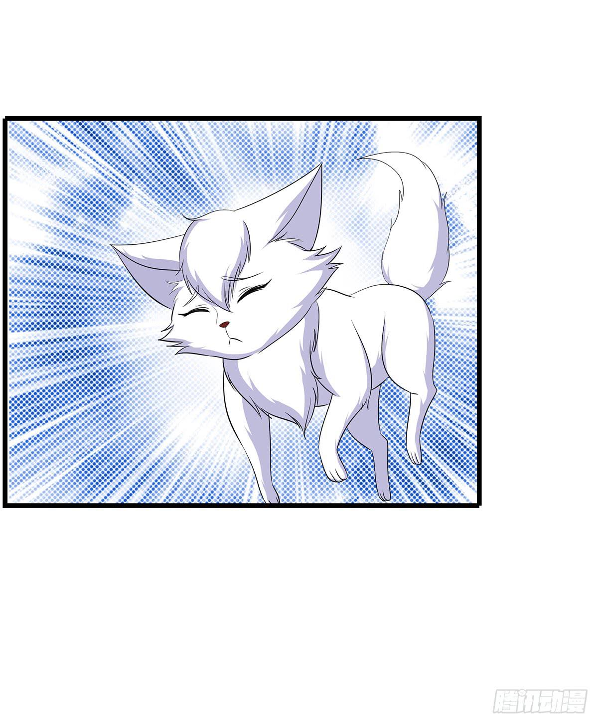 有一种新的开车方法叫小狐狸蹭药？(1/2)-第76话