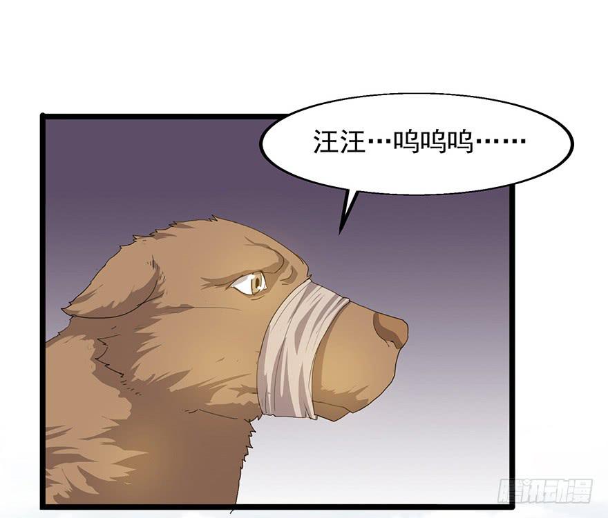 第二十一话：上门认亲(1/2)-第22话