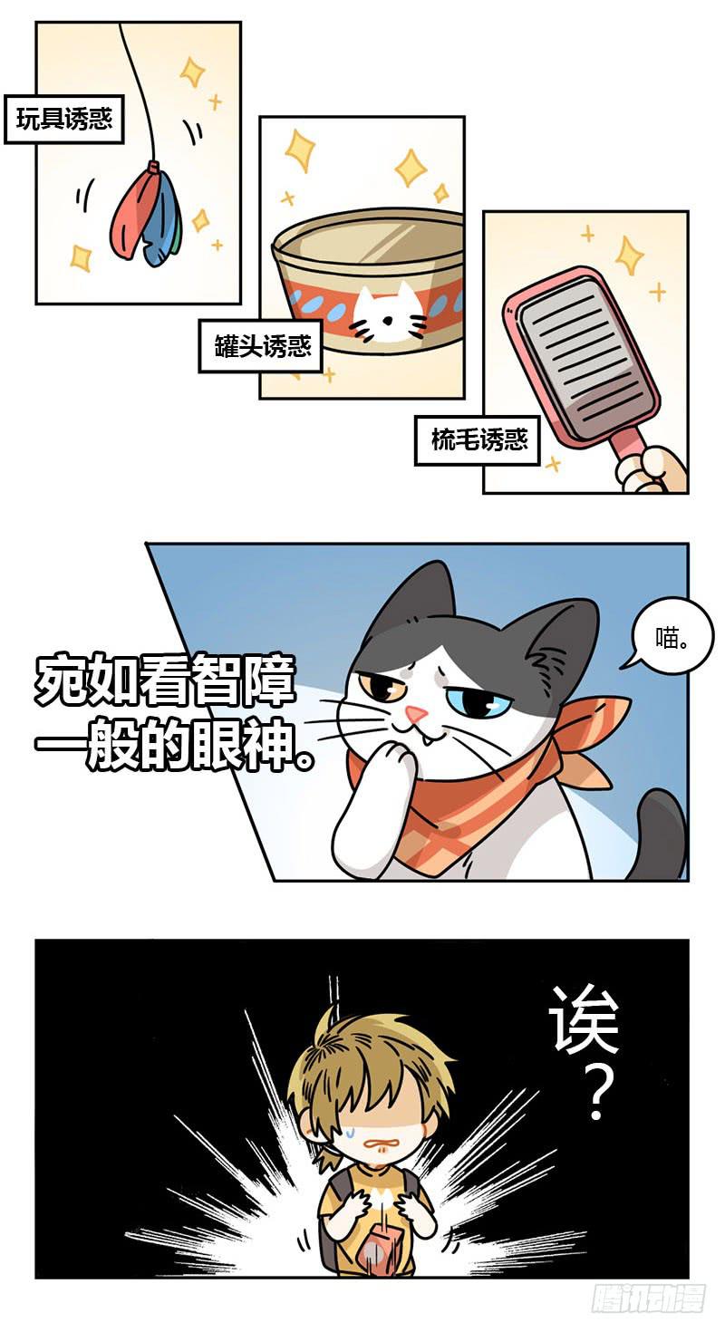 第60话 飞凡日记（2）-第60话