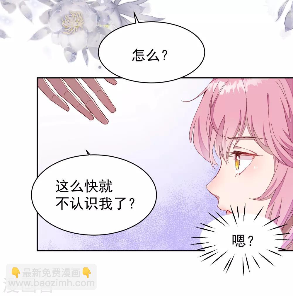 第1话 沈家的牺牲品-第2话