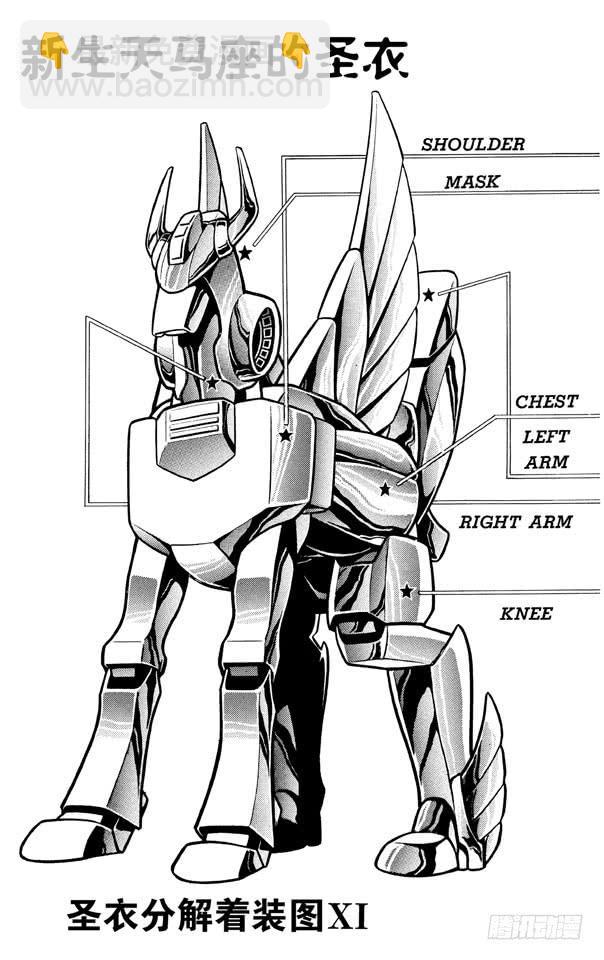 番外4 圣衣分解着装图-第4话