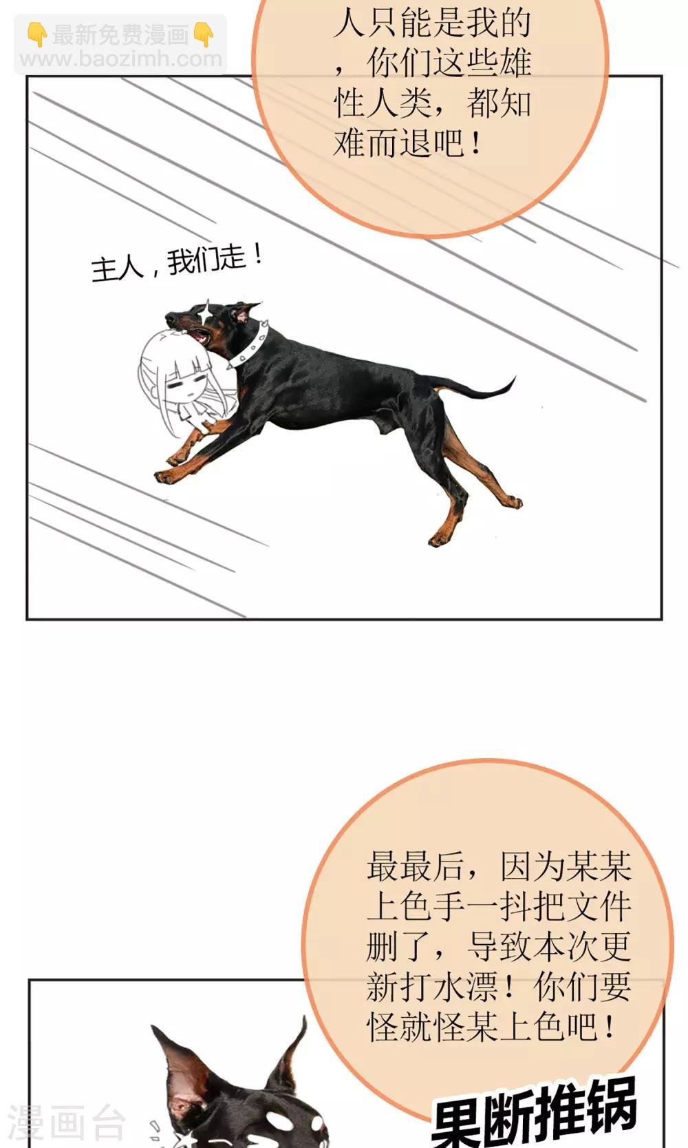 暖场小剧场 忠犬爱德华-第46话