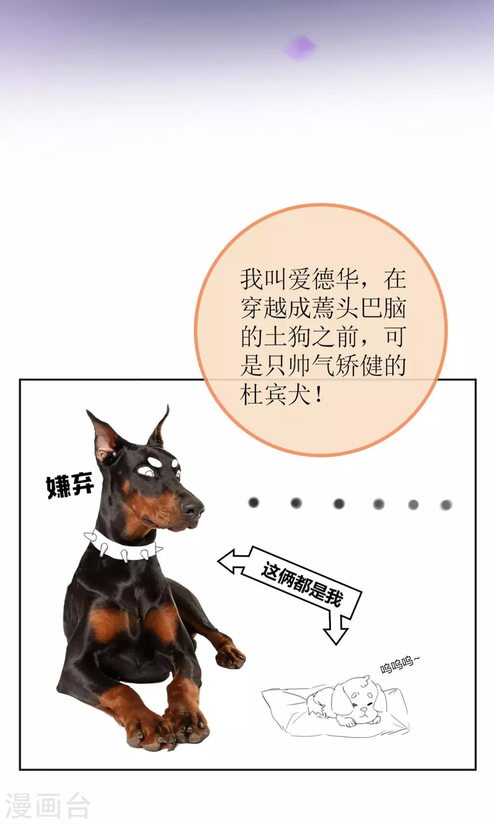 暖场小剧场 忠犬爱德华-第46话