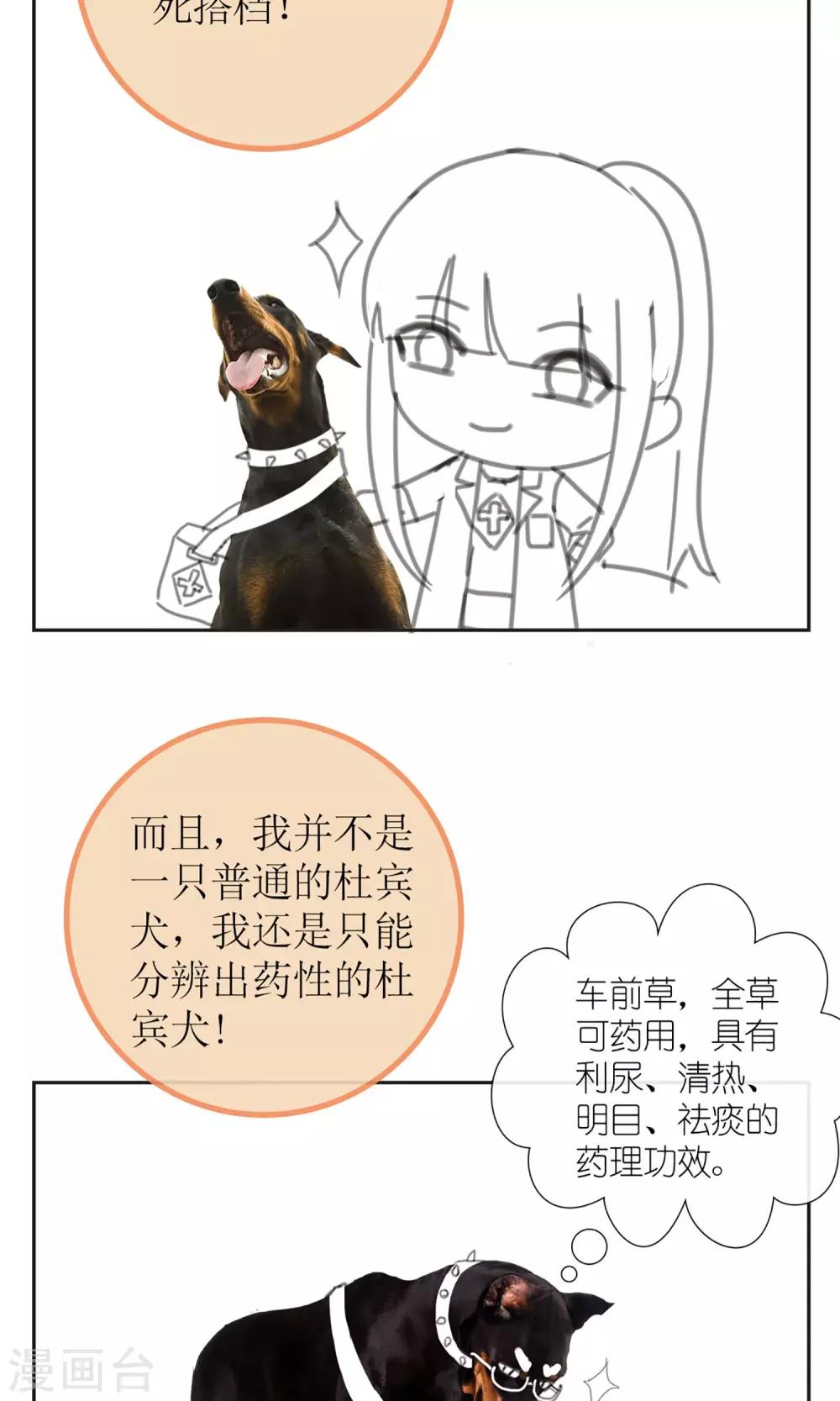 暖场小剧场 忠犬爱德华-第46话