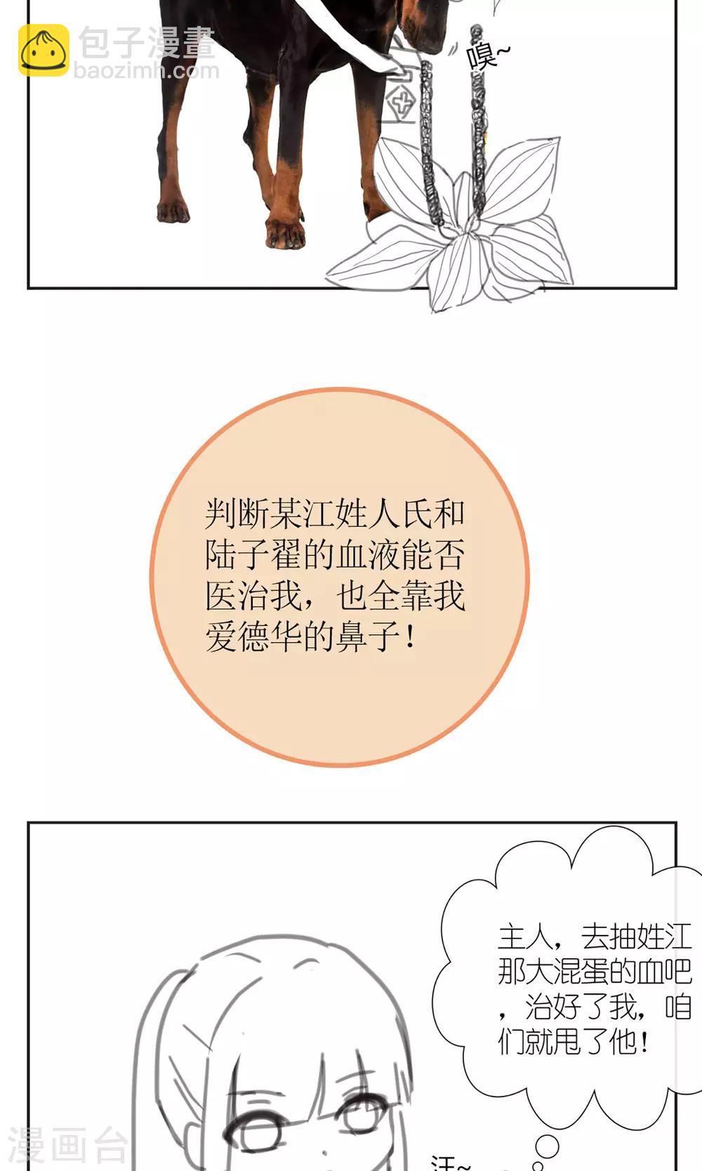 暖场小剧场 忠犬爱德华-第46话