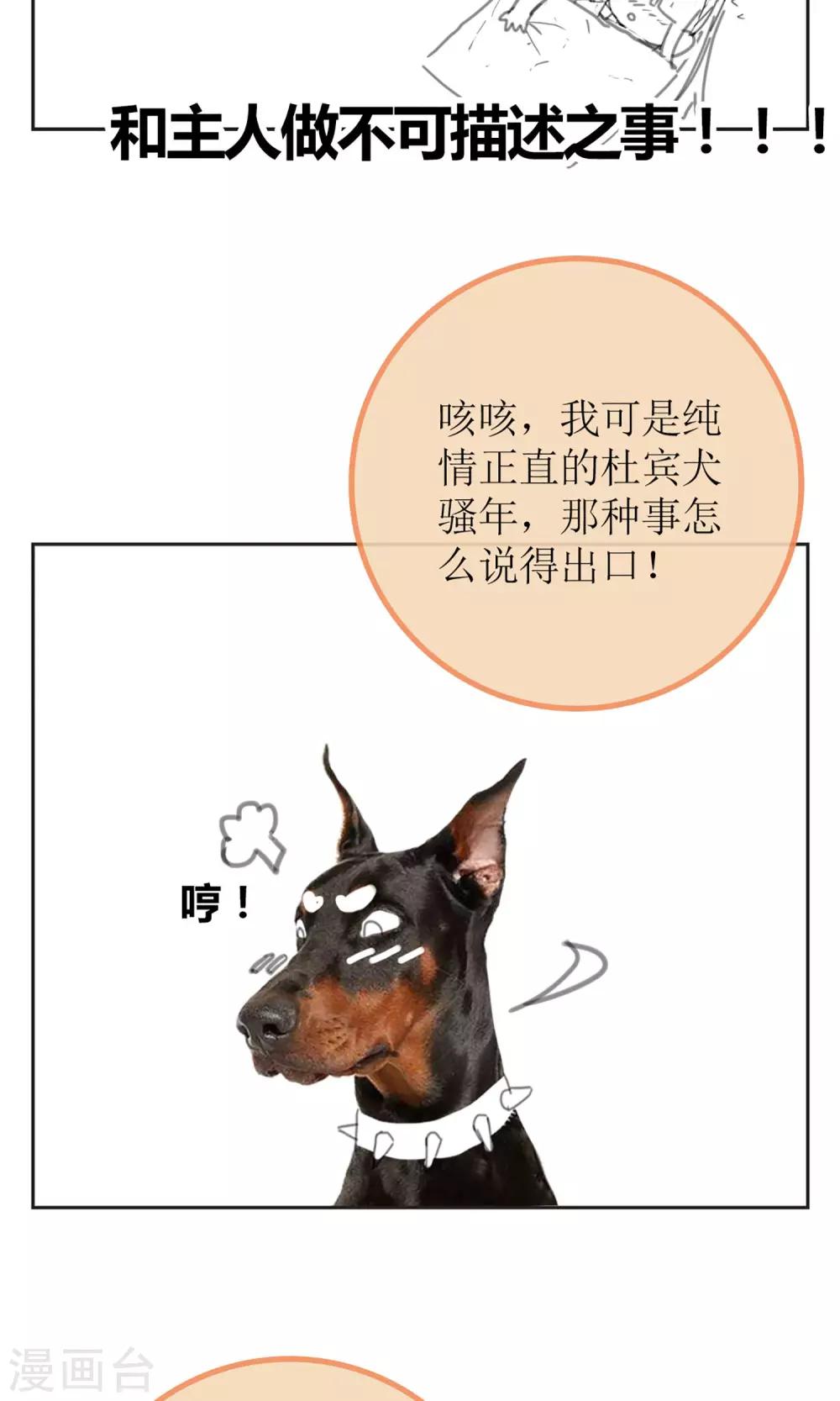 暖场小剧场 忠犬爱德华-第46话