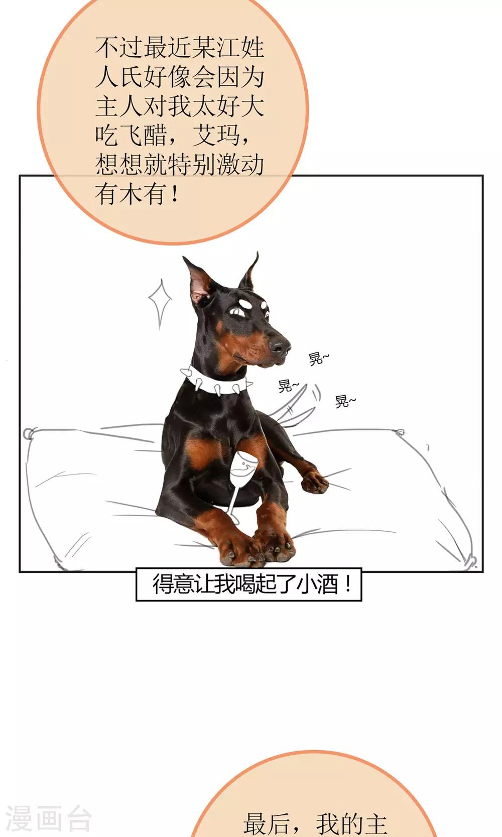 暖场小剧场 忠犬爱德华-第46话
