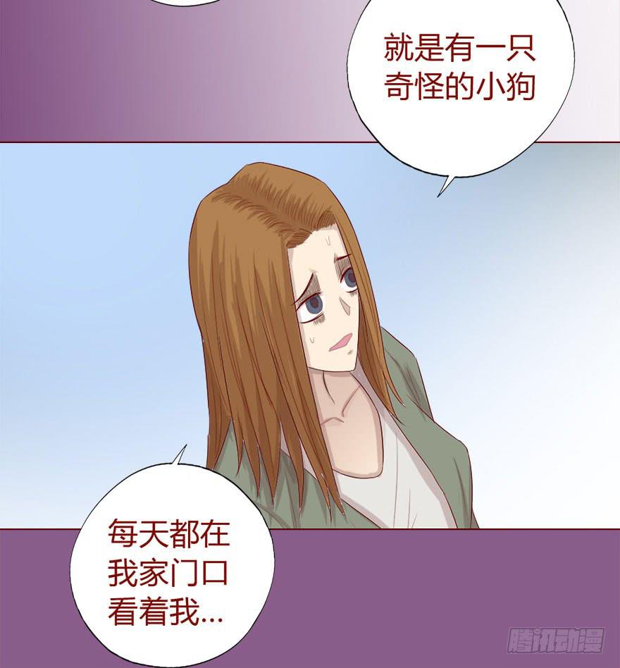 017灵宠（上）-第28话