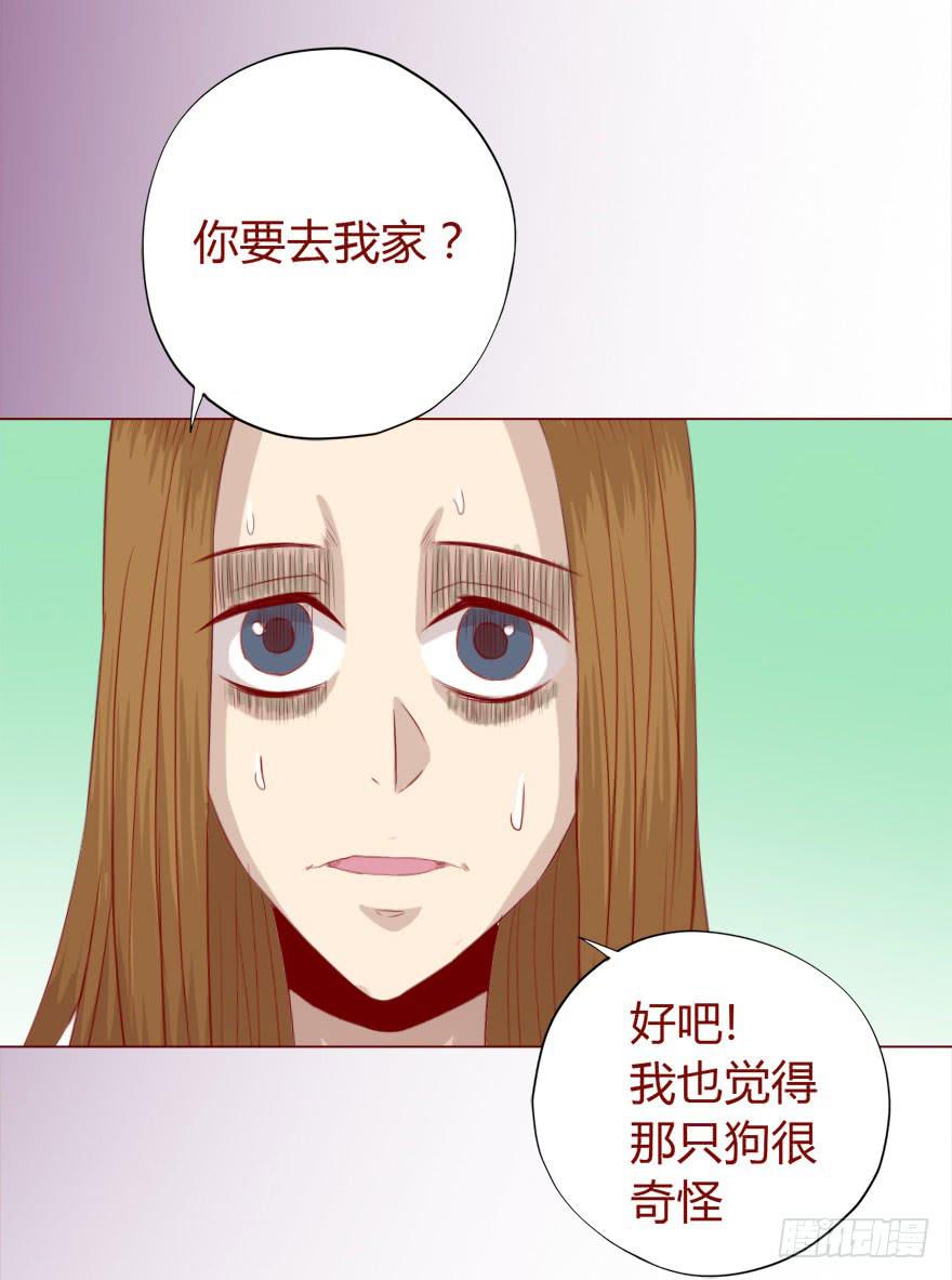 017灵宠（上）-第28话