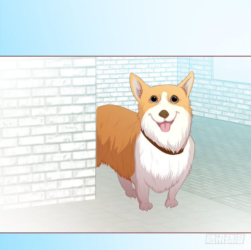 017灵宠（上）-第28话