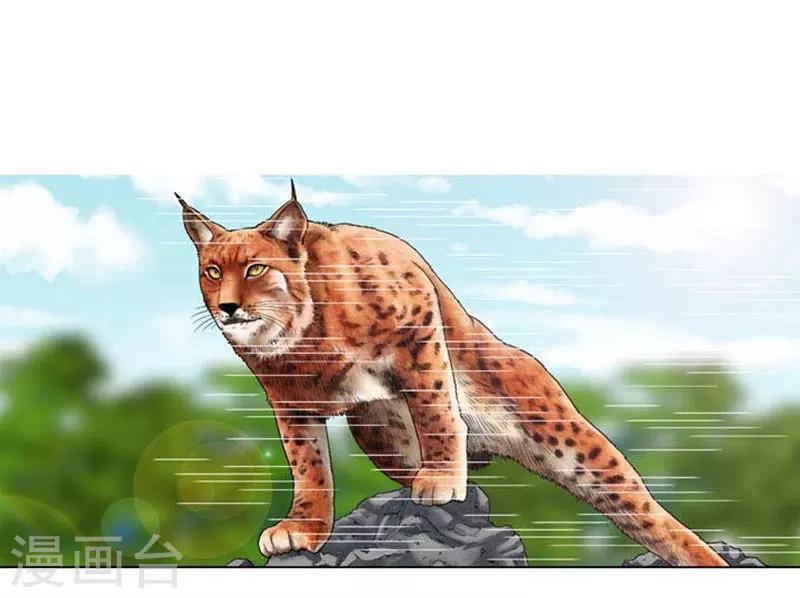 第42话(1/2)-第42话